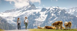 Hiking in Grindelwald Buri Sport