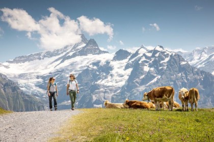 Hiking in Grindelwald Buri Sport